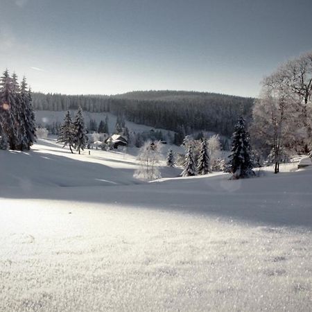 Ferienhotel Muehlleithen Клингентал Екстериор снимка