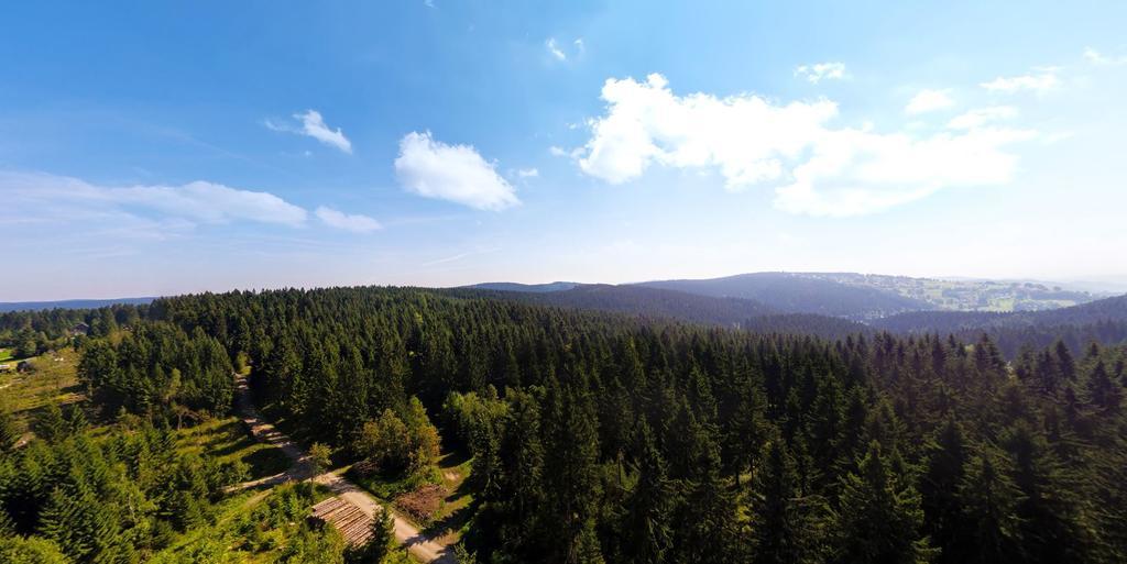 Ferienhotel Muehlleithen Клингентал Екстериор снимка
